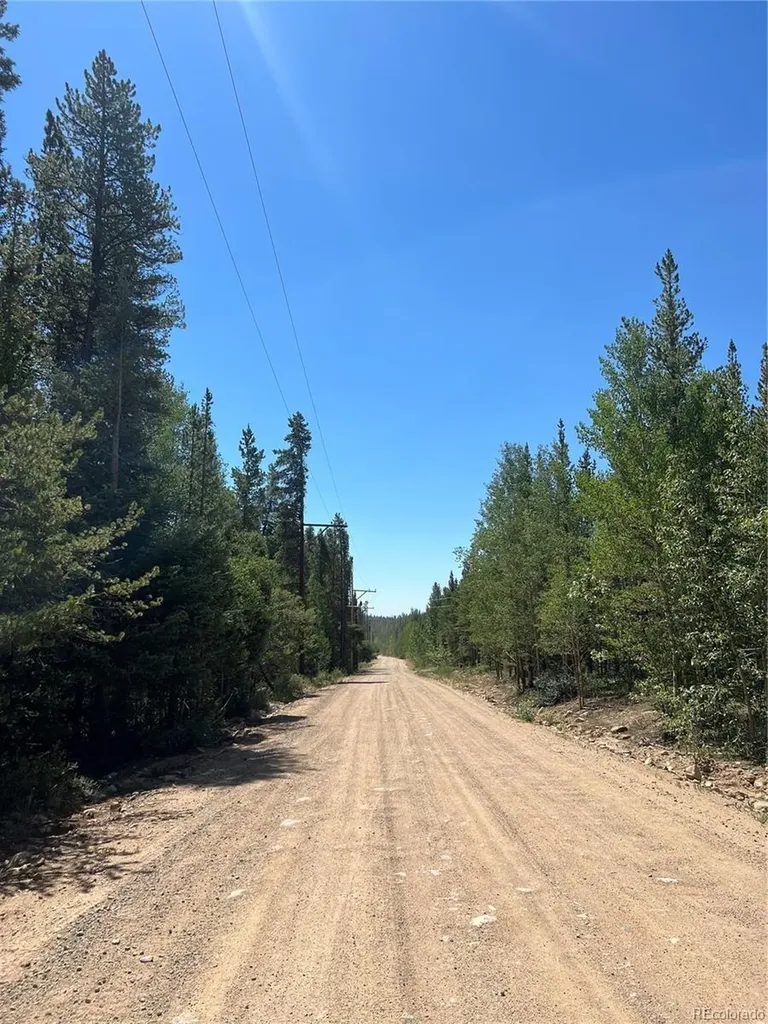 152 Co Road 665 Fairplay CO 80440