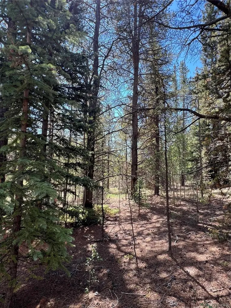 152 Co Road 665 Fairplay CO 80440