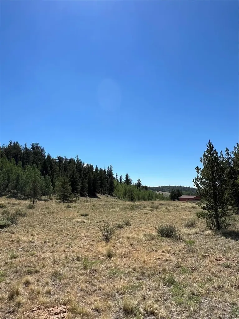 152 Co Road 665 Fairplay CO 80440