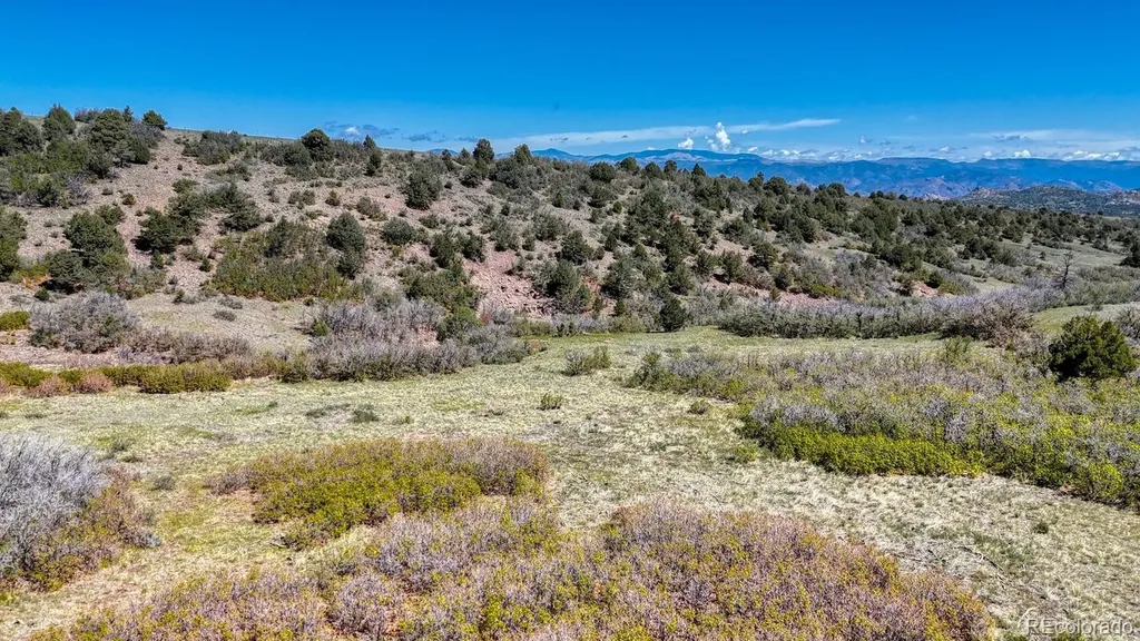 2269 Running Bear Cotopaxi CO 81223