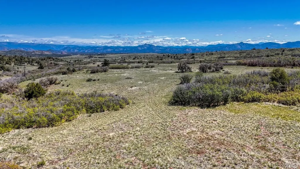 2269 Running Bear Cotopaxi CO 81223