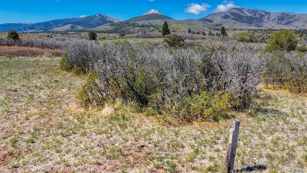 2269 Running Bear Cotopaxi CO 81223