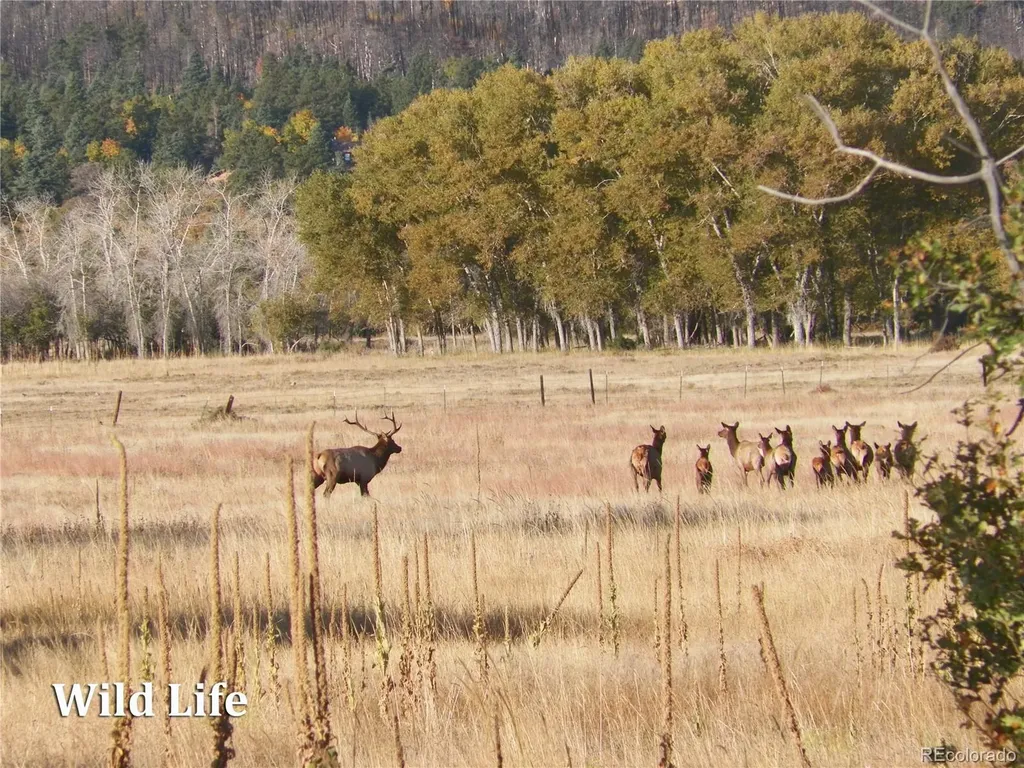 2269 Running Bear Cotopaxi CO 81223