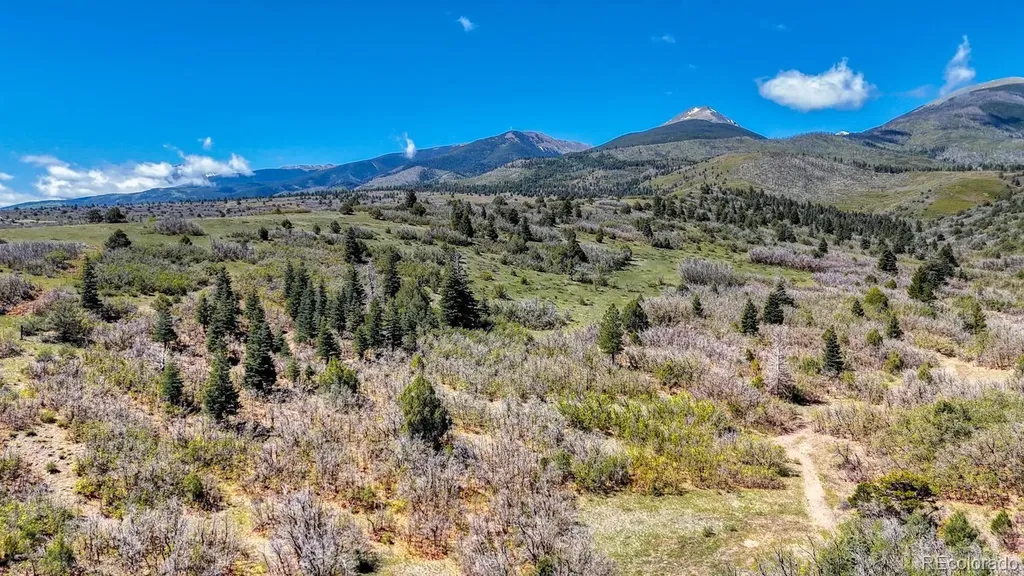 2269 Running Bear Cotopaxi CO 81223