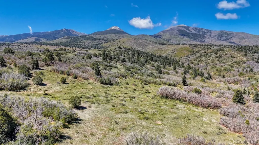2269 Running Bear Cotopaxi CO 81223