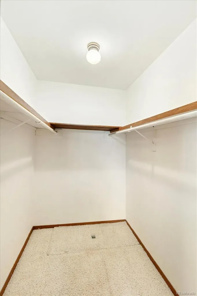 479 Meadow Drive Coaldale CO 81222