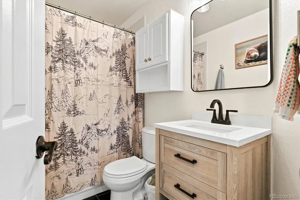 281 Phillips Peak Highlands Ranch CO 80129