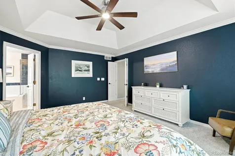 281 Phillips Peak Highlands Ranch CO 80129