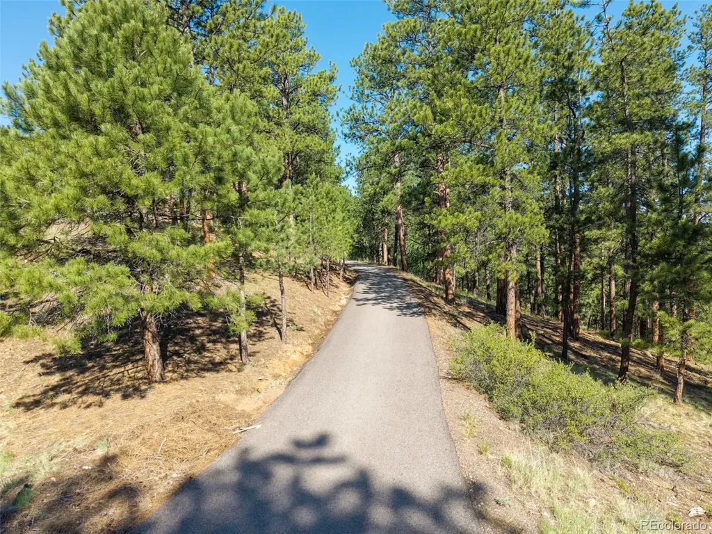 2828 Quartz Ridge Road Evergreen CO 80439