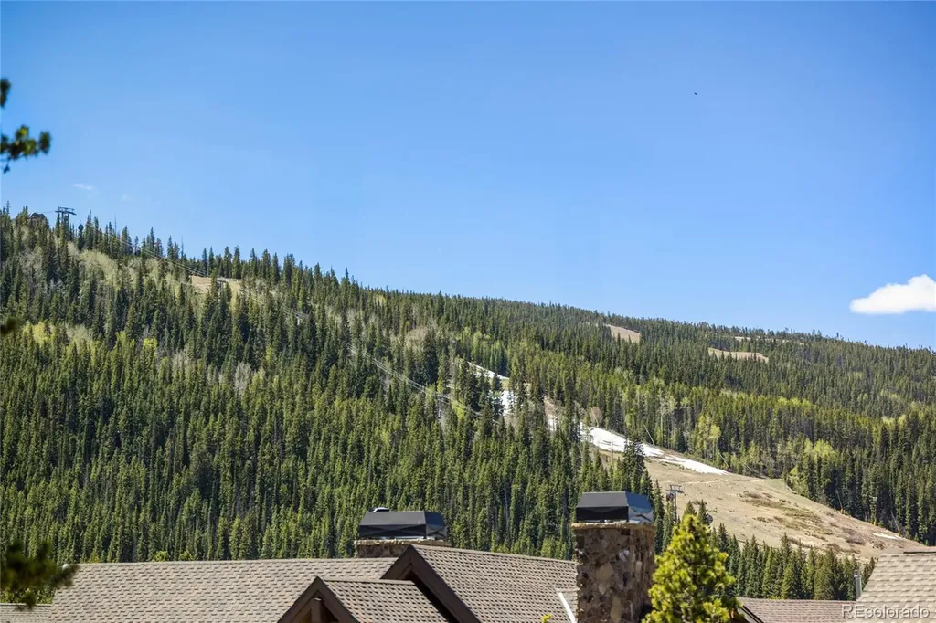 70 Tieze Lane Keystone CO 80435