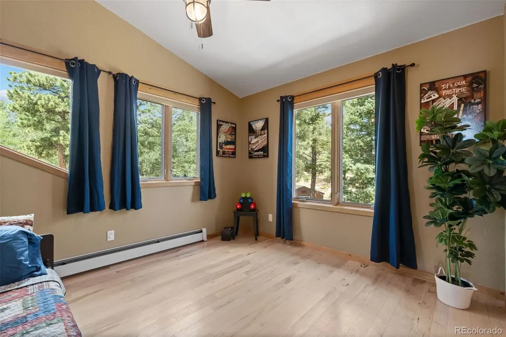 13432 Riley Peak Road Conifer CO 80433