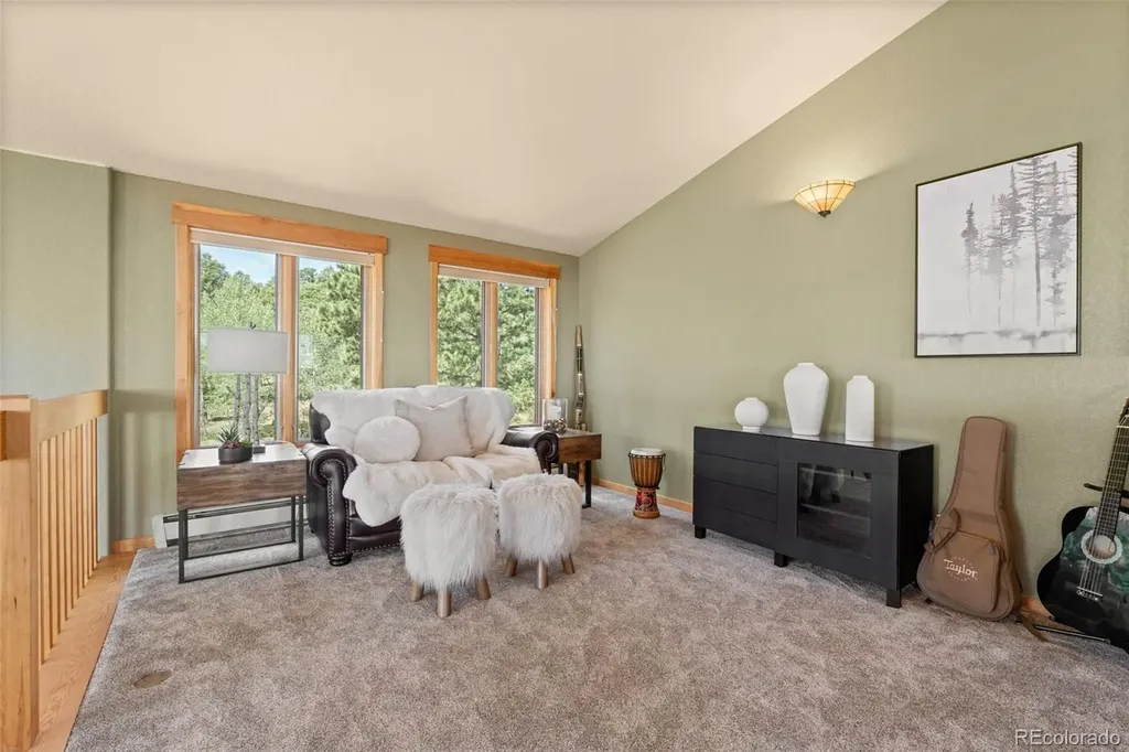 13432 Riley Peak Road Conifer CO 80433
