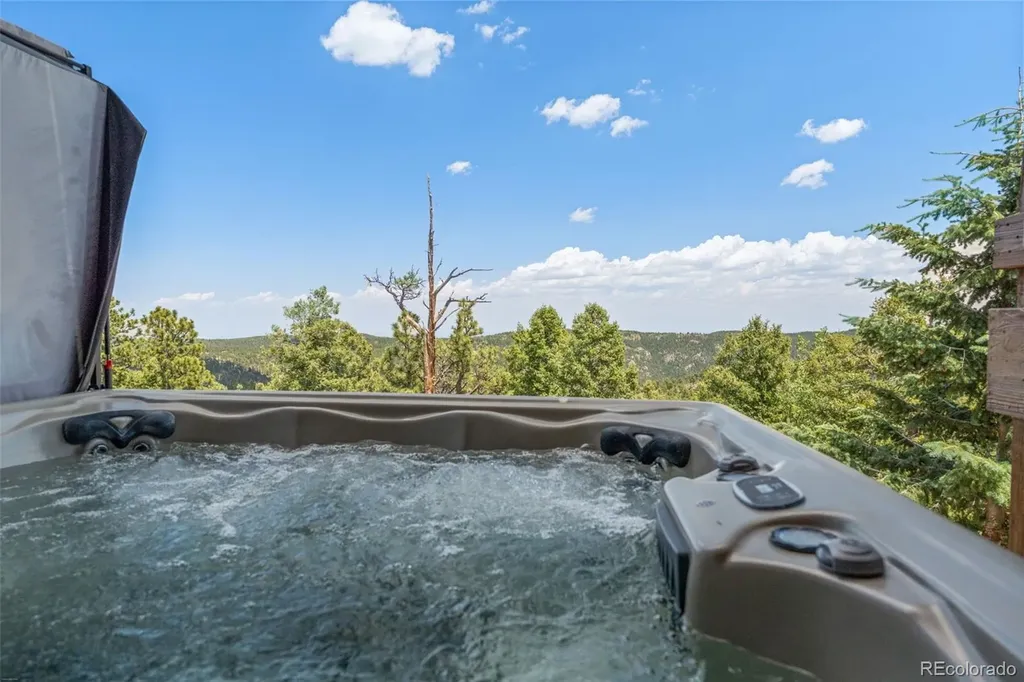 13432 Riley Peak Road Conifer CO 80433
