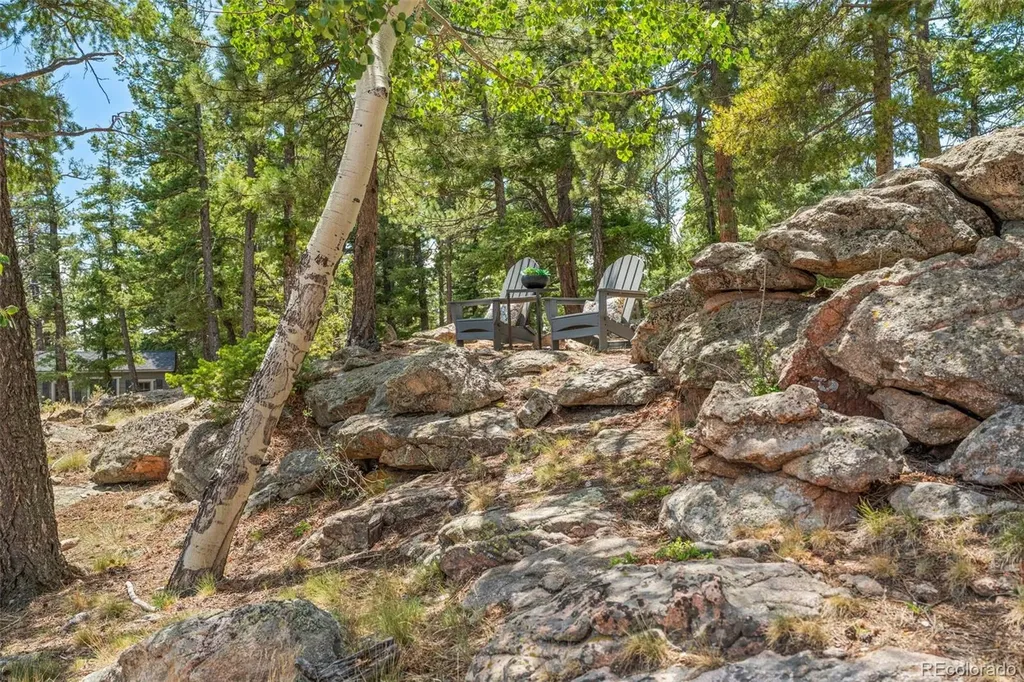 13432 Riley Peak Road Conifer CO 80433