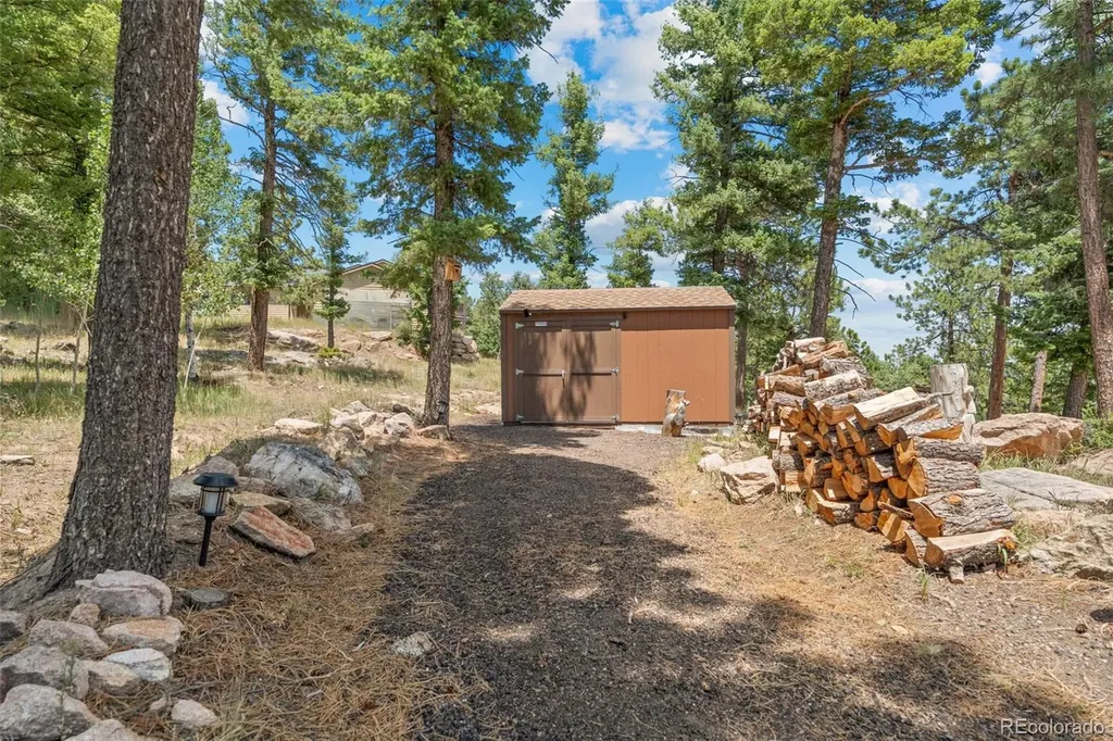13432 Riley Peak Road Conifer CO 80433