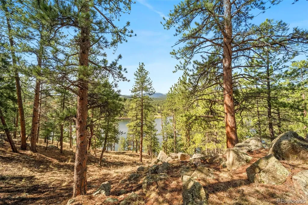 28480 Douglas Park Road Evergreen CO 80439