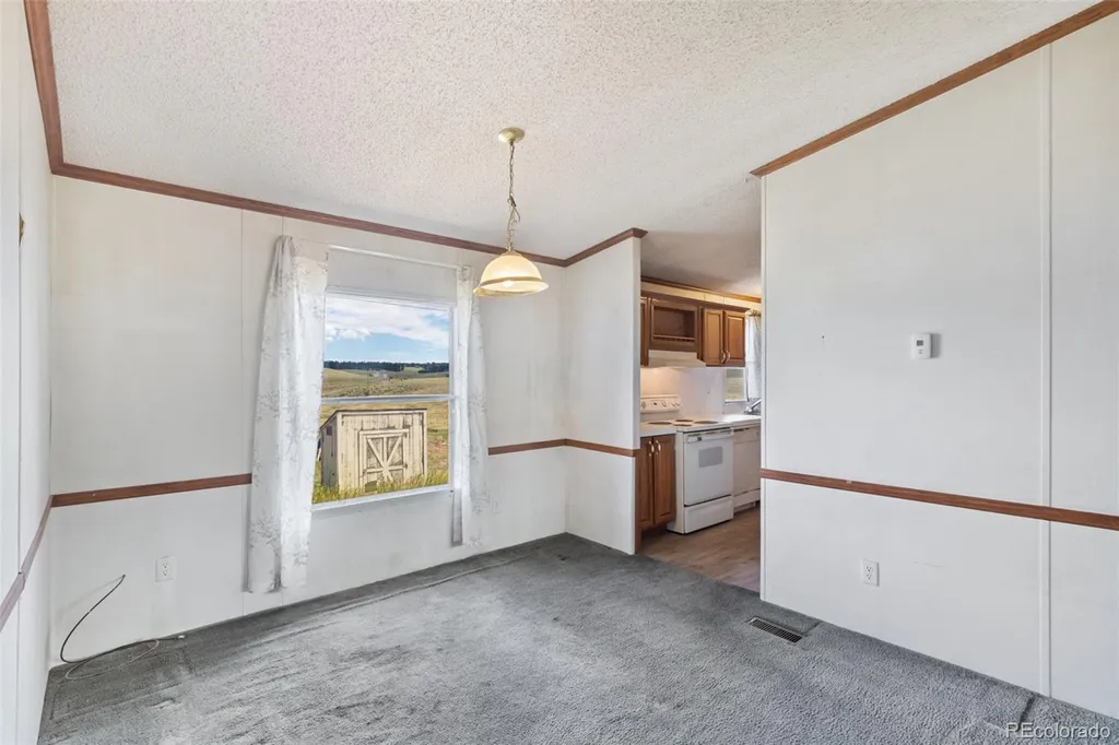 85 Aspen Drive Divide CO 80814