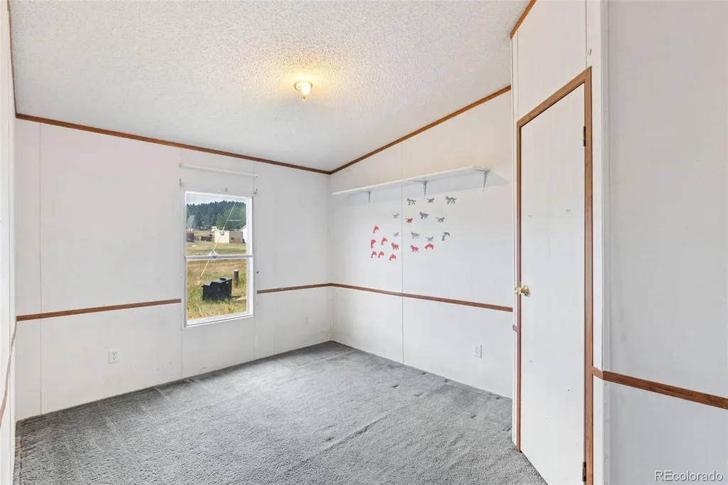 85 Aspen Drive Divide CO 80814