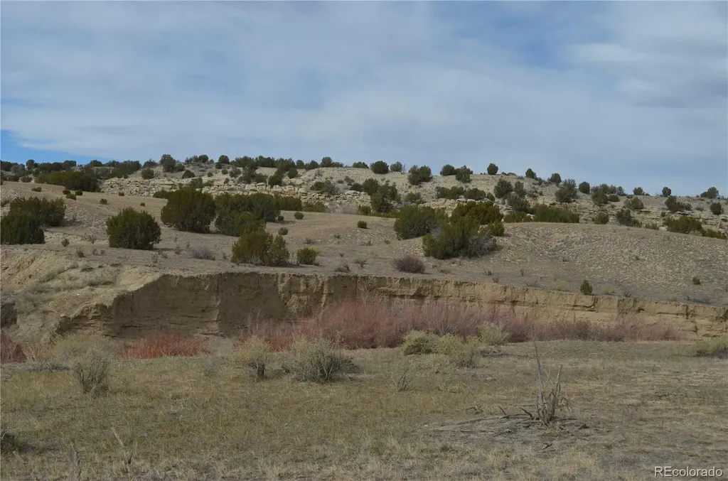 Red Creek Springs Road Pueblo CO 81005