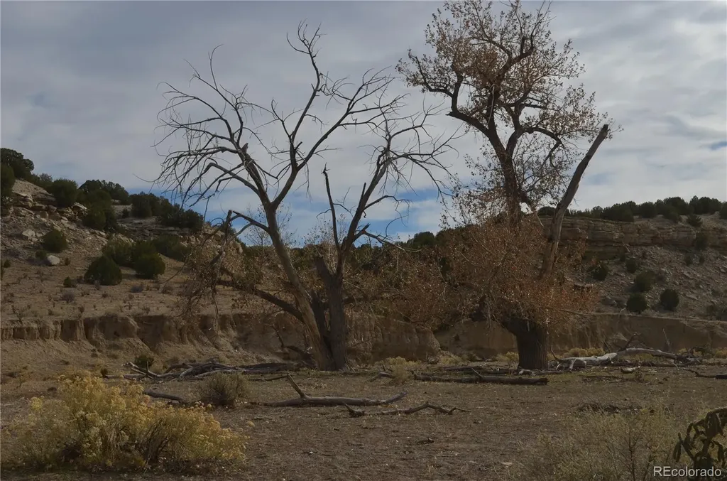 Red Creek Springs Road Pueblo CO 81005