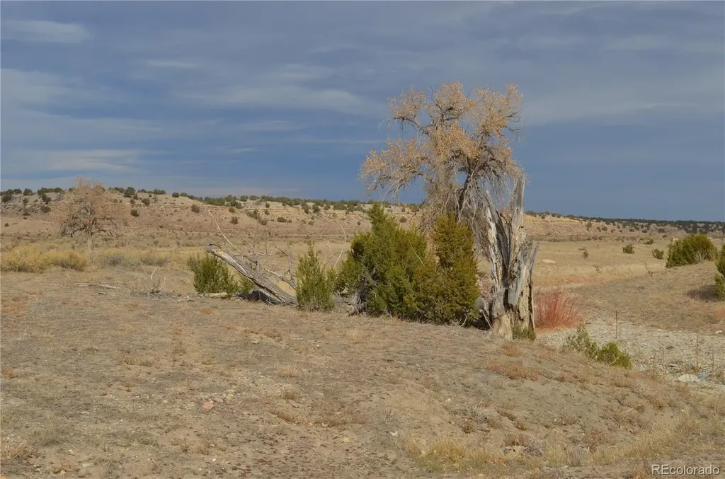 Red Creek Springs Road Pueblo CO 81005