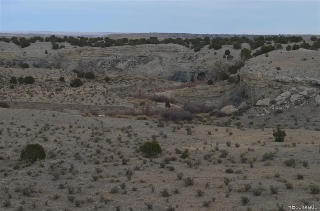 Red Creek Springs Road Pueblo CO 81005