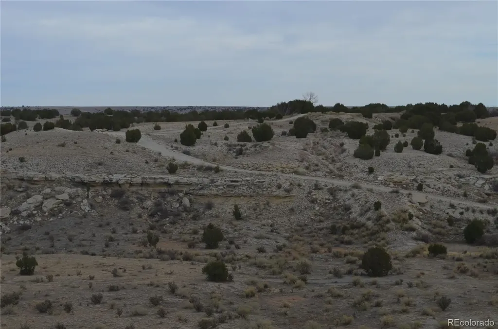 Red Creek Springs Road Pueblo CO 81005
