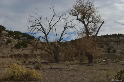 Red Creek Springs Road Pueblo CO 81005