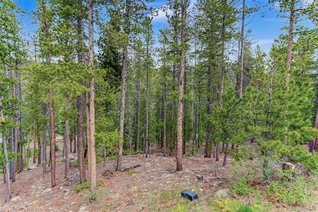 1960 Pine Valley Road Evergreen CO 80439