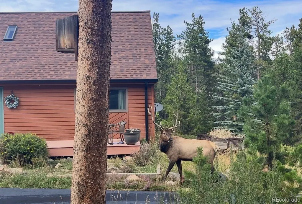 1960 Pine Valley Road Evergreen CO 80439