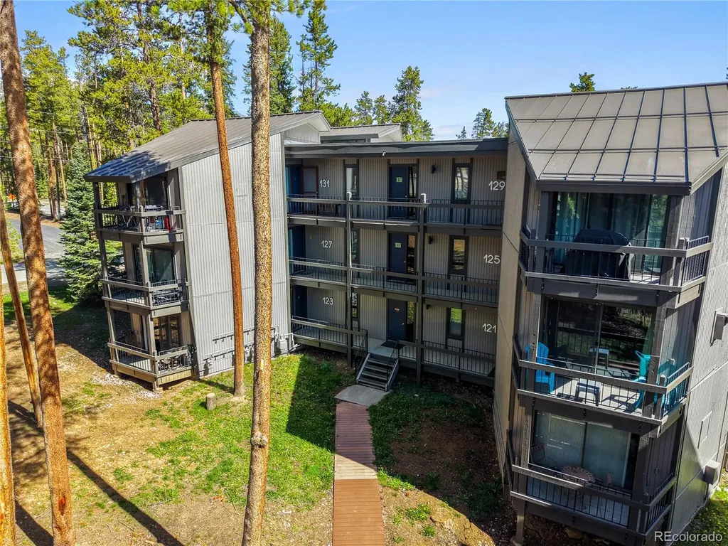 1173 Ski Hill Road Breckenridge CO 80424