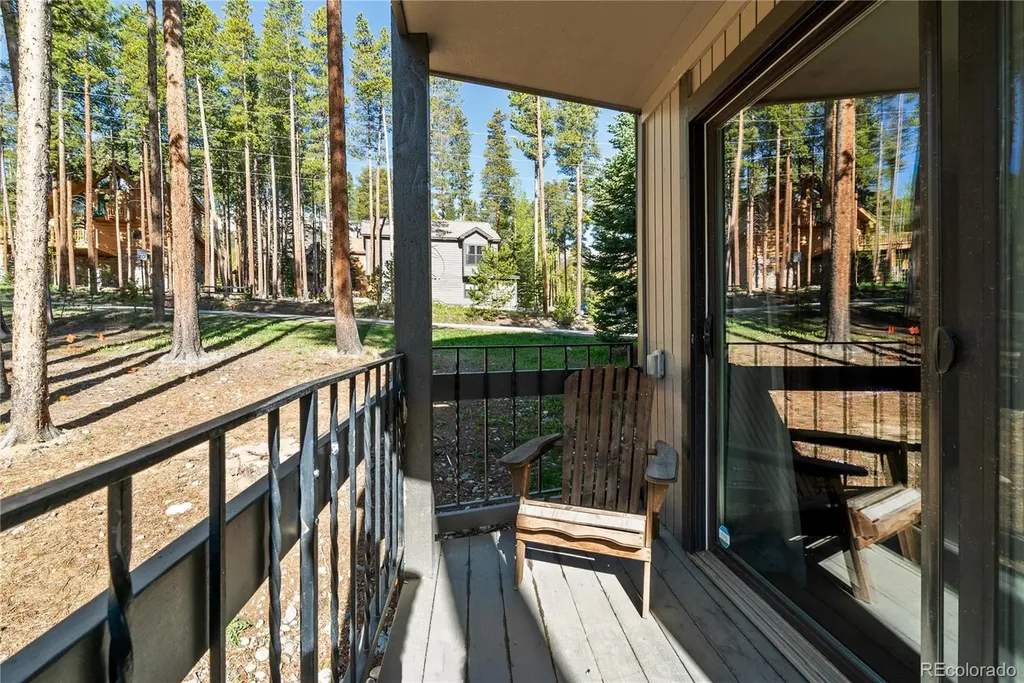1173 Ski Hill Road Breckenridge CO 80424