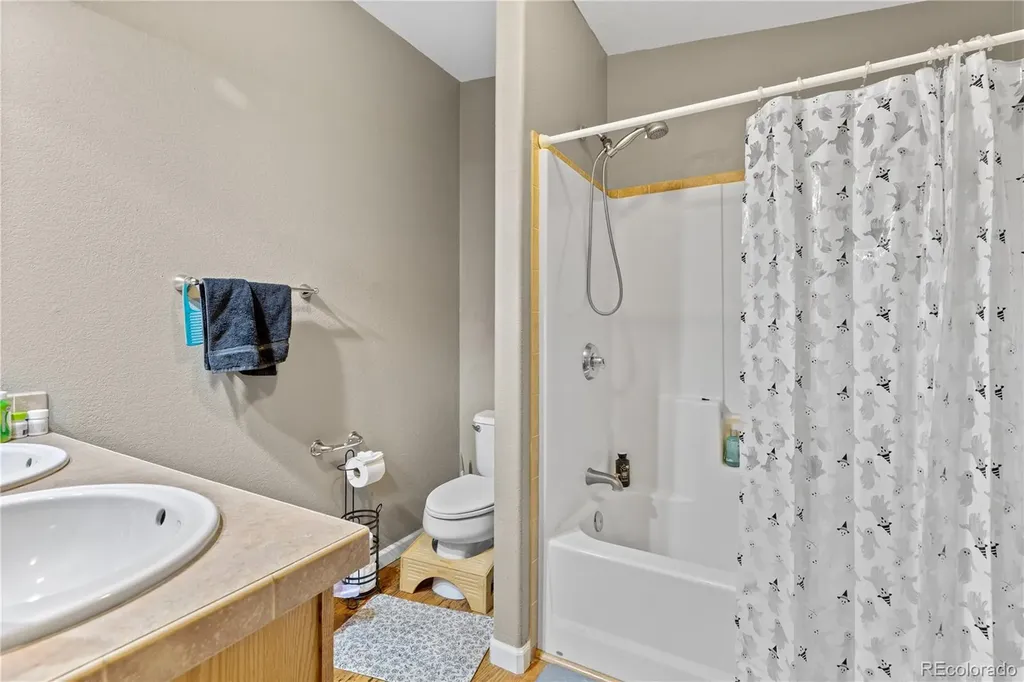 738 Trout Creek Drive Fairplay CO 80440