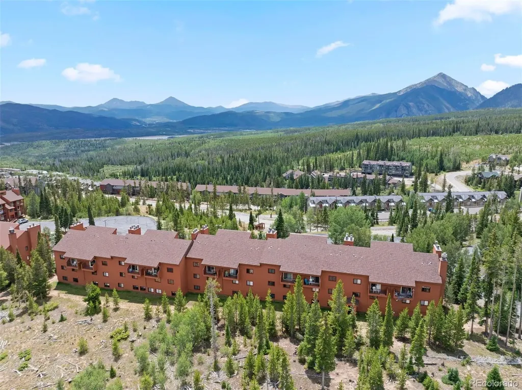 91300 Ryan Gulch Road Silverthorne CO 80498