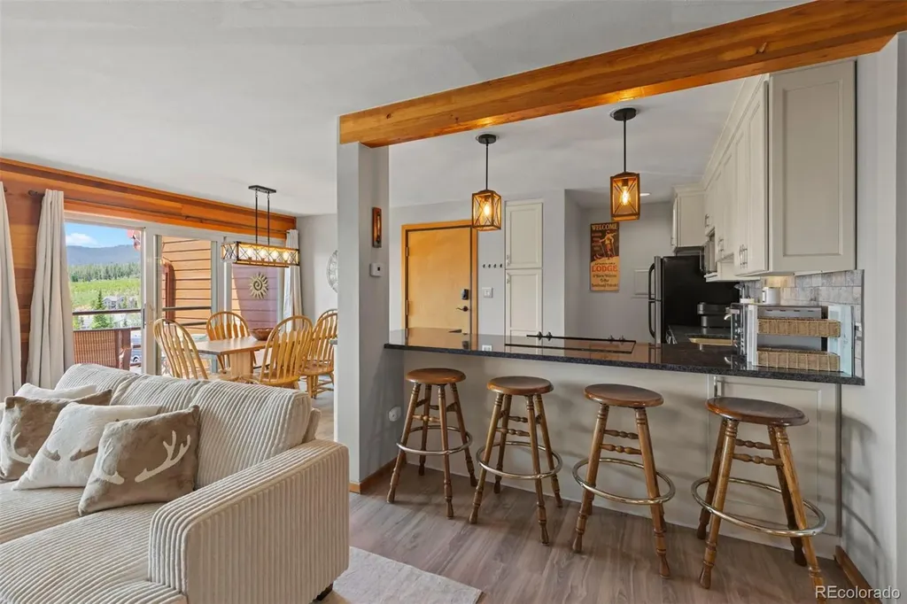 91300 Ryan Gulch Road Silverthorne CO 80498