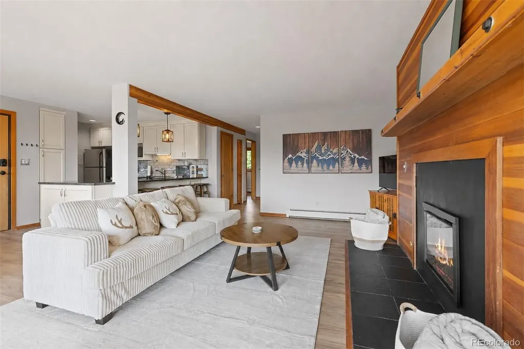 91300 Ryan Gulch Road Silverthorne CO 80498