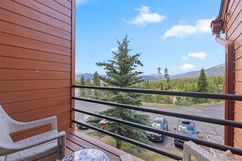 91300 Ryan Gulch Road Silverthorne CO 80498