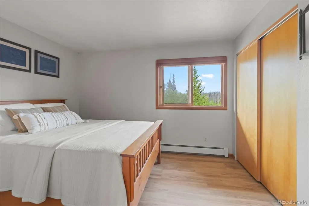 91300 Ryan Gulch Road Silverthorne CO 80498