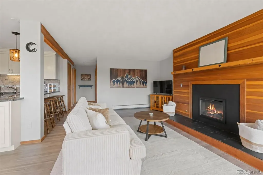 91300 Ryan Gulch Road Silverthorne CO 80498