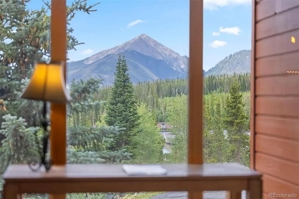91300 Ryan Gulch Road Silverthorne CO 80498