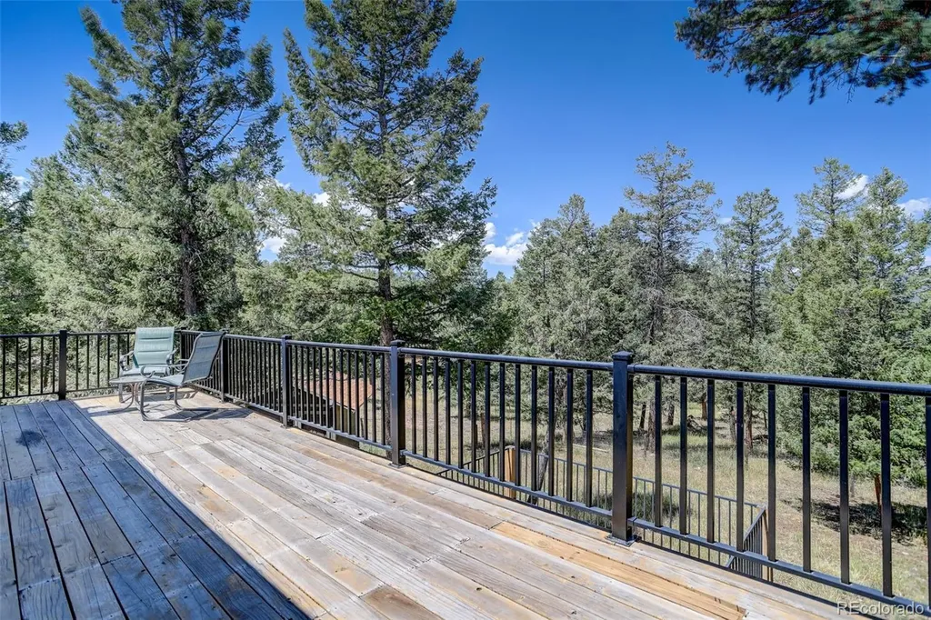 71 Columbine Drive Bailey CO 80421