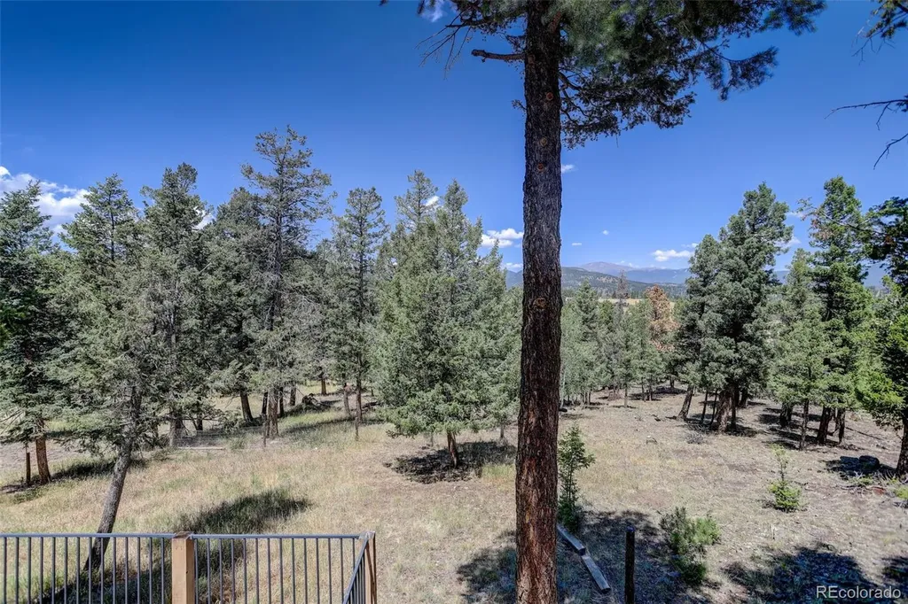 71 Columbine Drive Bailey CO 80421
