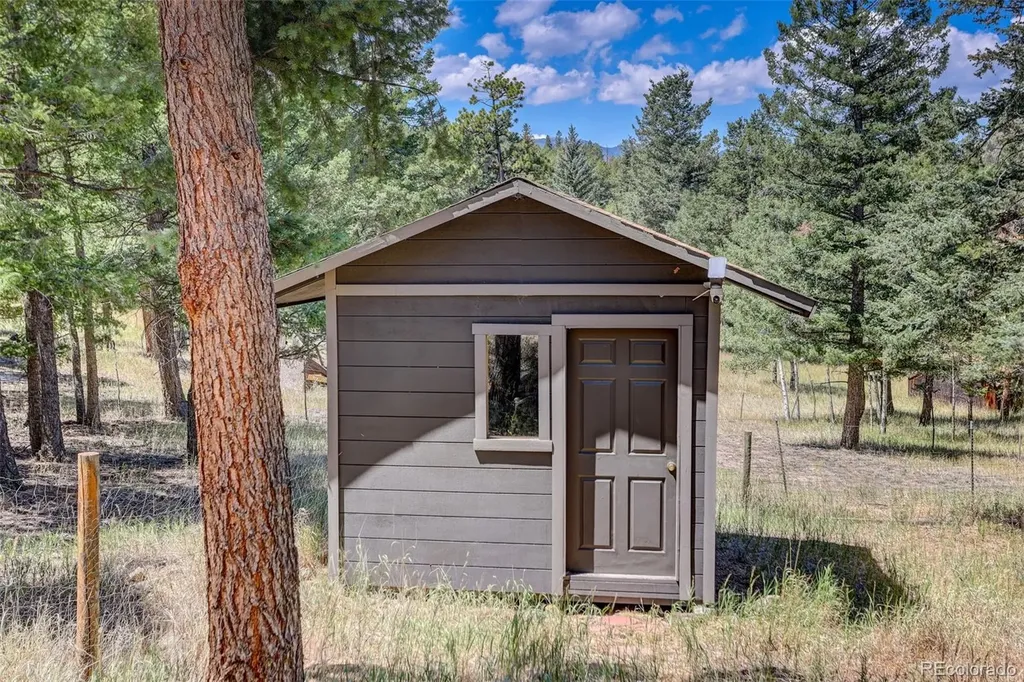 71 Columbine Drive Bailey CO 80421