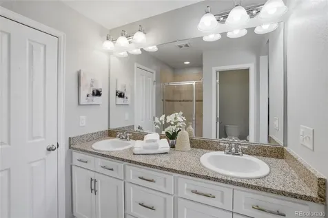 3788 Cadence Drive Castle Rock CO 80109
