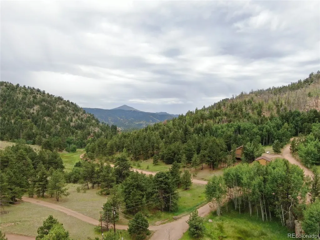 76 Crocus Circle Florissant CO 80816