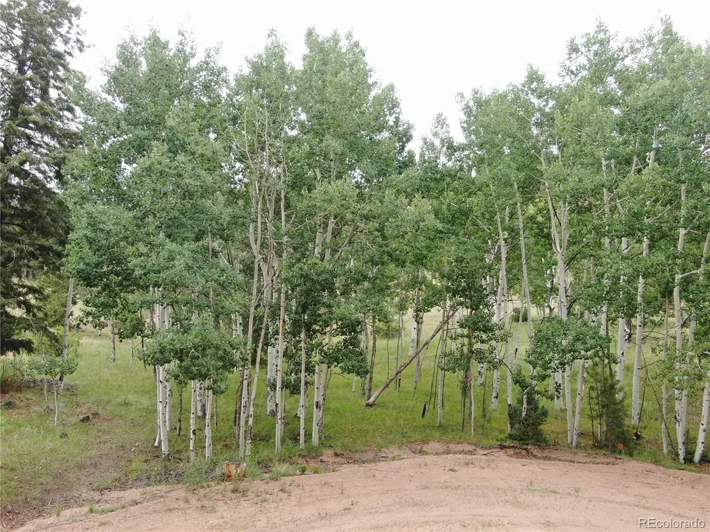 76 Crocus Circle Florissant CO 80816