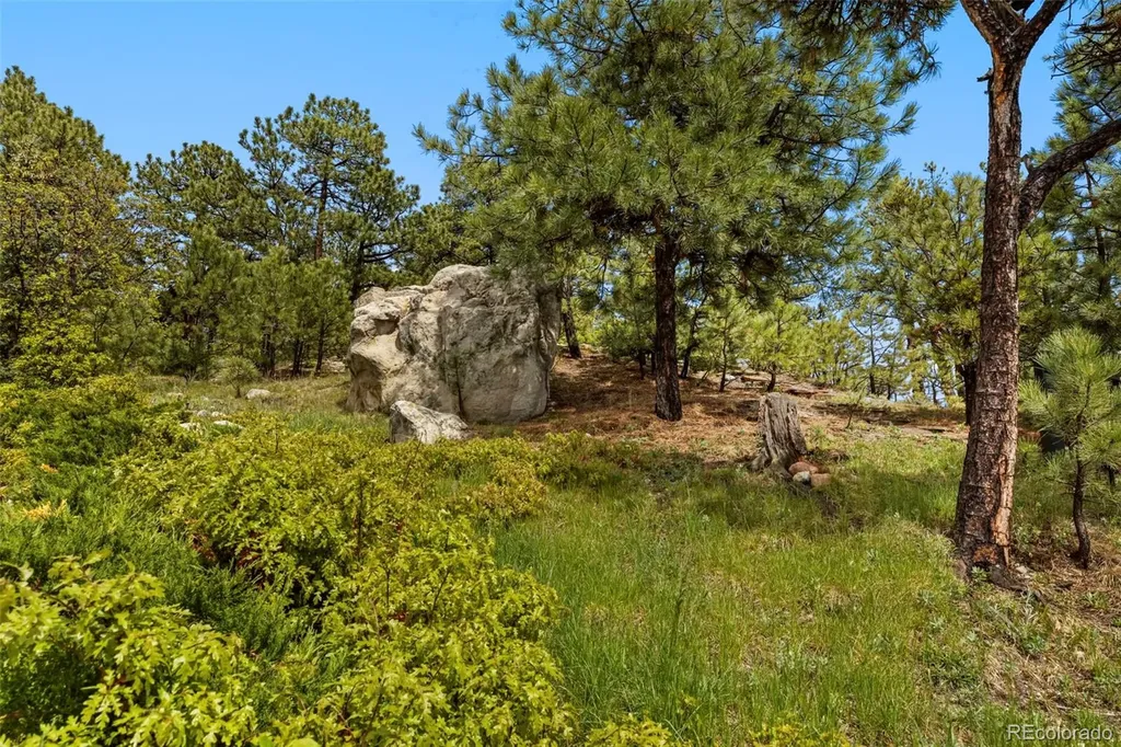 525 Silhouette Way Monument CO 80132