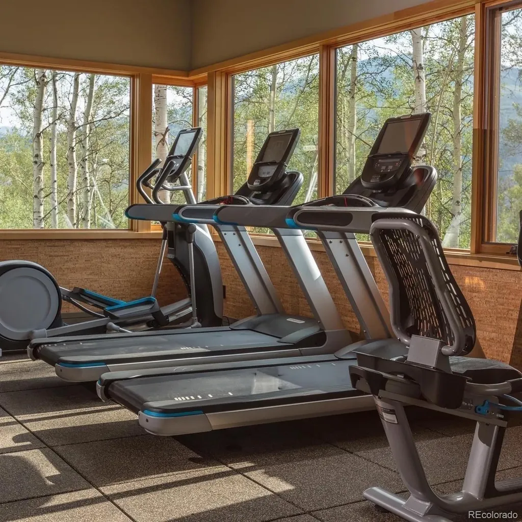 83 Mckay Place Silverthorne CO 80498
