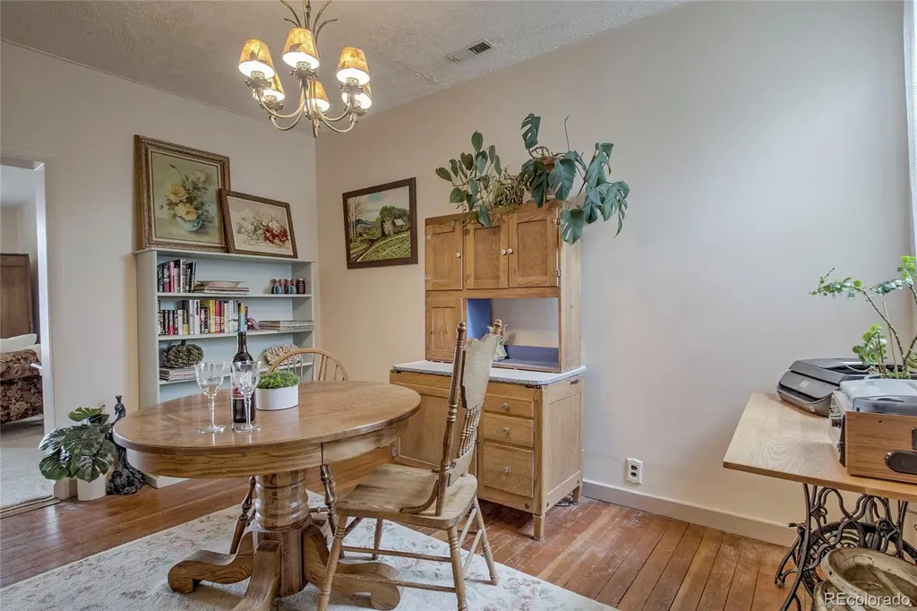 419 E 10th Street Leadville CO 80461