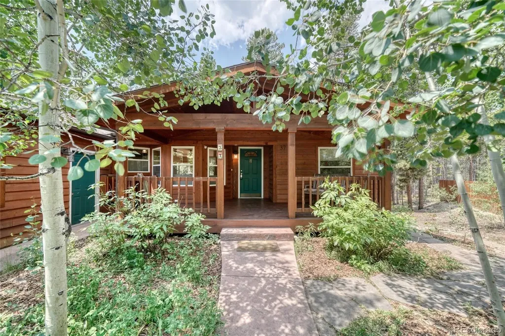 37 Comstock Court Leadville CO 80461